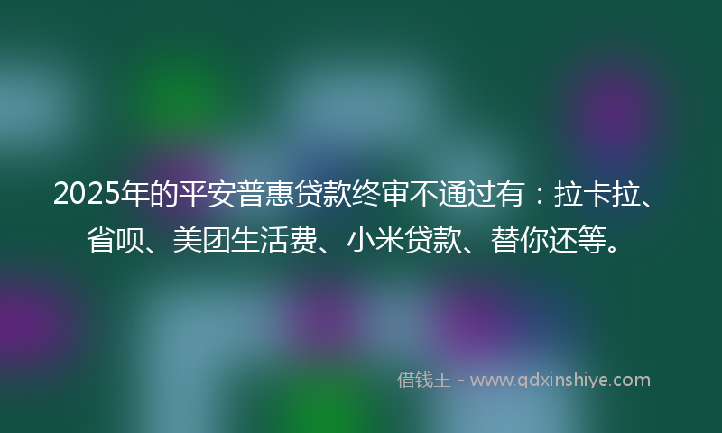 2025年的平安普惠贷款终审不通过有：拉卡拉、省呗、美团生活费、小米贷款、替你还等。