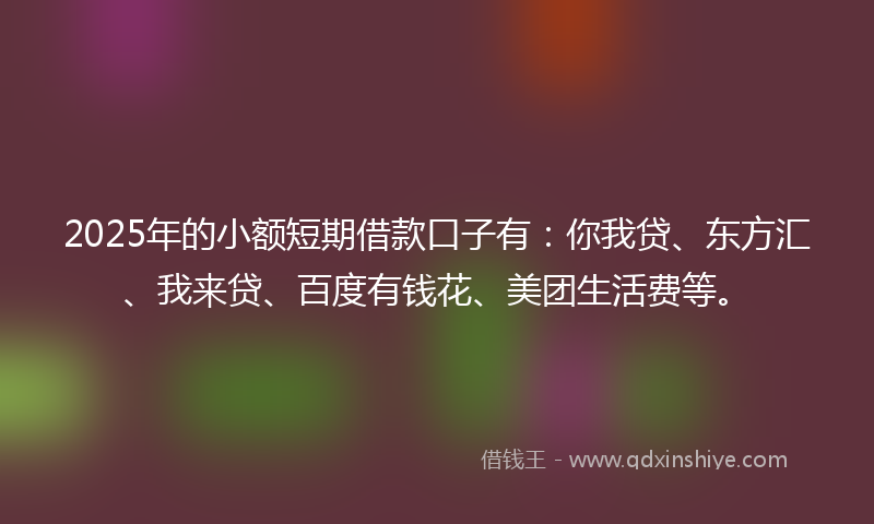 2025年的小额短期借款口子有：你我贷、东方汇、我来贷、百度有钱花、美团生活费等。