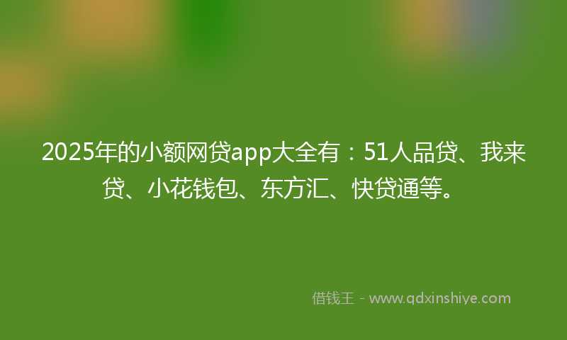 2025年的小额网贷app大全有：51人品贷、我来贷、小花钱包、东方汇、快贷通等。