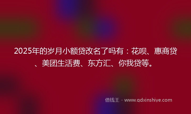 2025年的岁月小额贷改名了吗有：花呗、惠商贷、美团生活费、东方汇、你我贷等。