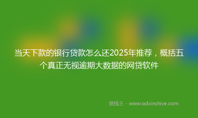 当天下款的银行贷款怎么还2025年推荐，概括五个真正无视逾期大数据的网贷软件