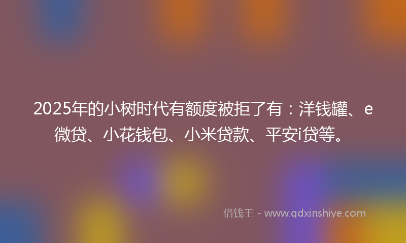 2025年的小树时代有额度被拒了有：洋钱罐、e微贷、小花钱包、小米贷款、平安i贷等。