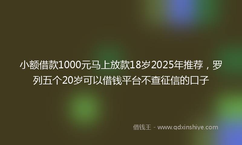 小额借款1000元马上放款18岁2025年推荐，罗列五个20岁可以借钱平台不查征信的口子