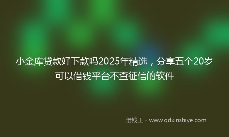 小金库贷款好下款吗2025年精选，分享五个20岁可以借钱平台不查征信的软件