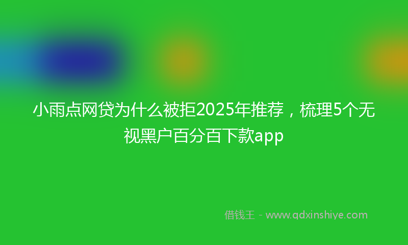 小雨点网贷为什么被拒2025年推荐，梳理5个无视黑户百分百下款app