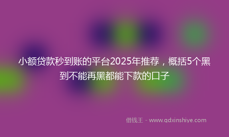小额贷款秒到账的平台2025年推荐，概括5个黑到不能再黑都能下款的口子