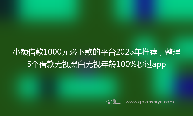 小额借款1000元必下款的平台2025年推荐，整理5个借款无视黑白无视年龄100%秒过app