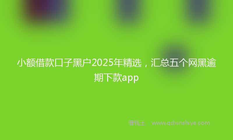 小额借款口子黑户2025年精选，汇总五个网黑逾期下款app