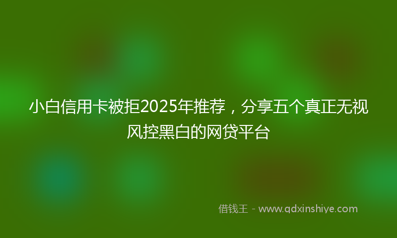 小白信用卡被拒2025年推荐，分享五个真正无视风控黑白的网贷平台