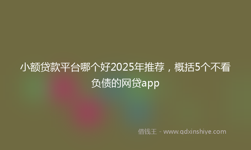 小额贷款平台哪个好2025年推荐，概括5个不看负债的网贷app