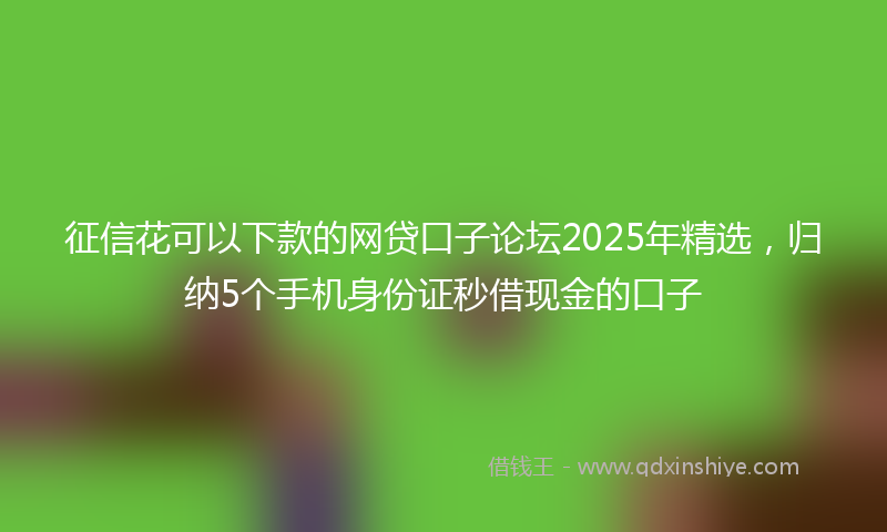 征信花可以下款的网贷口子论坛2025年精选，归纳5个手机身份证秒借现金的口子