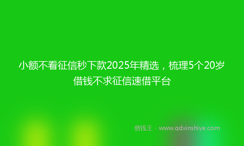 小额不看征信秒下款2025年精选，梳理5个20岁借钱不求征信速借平台