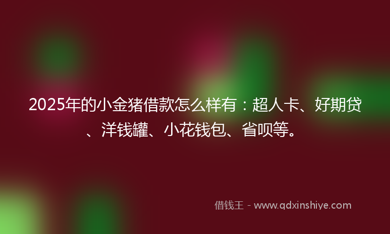 2025年的小金猪借款怎么样有：超人卡、好期贷、洋钱罐、小花钱包、省呗等。