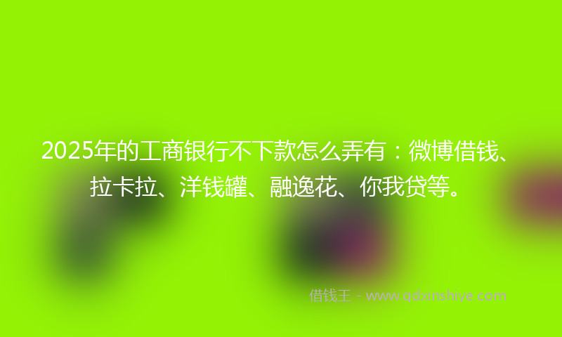 2025年的工商银行不下款怎么弄有：微博借钱、拉卡拉、洋钱罐、融逸花、你我贷等。
