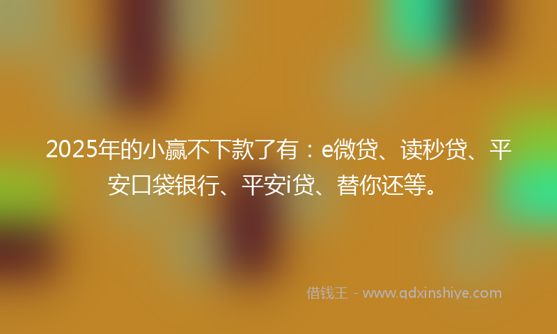 2025年的小赢不下款了有：e微贷、读秒贷、平安口袋银行、平安i贷、替你还等。