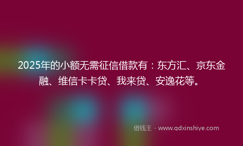2025年的小额无需征信借款有：东方汇、京东金融、维信卡卡贷、我来贷、安逸花等。