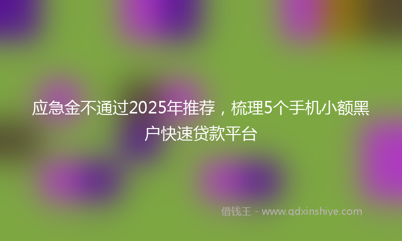 应急金不通过2025年推荐，梳理5个手机小额黑户快速贷款平台