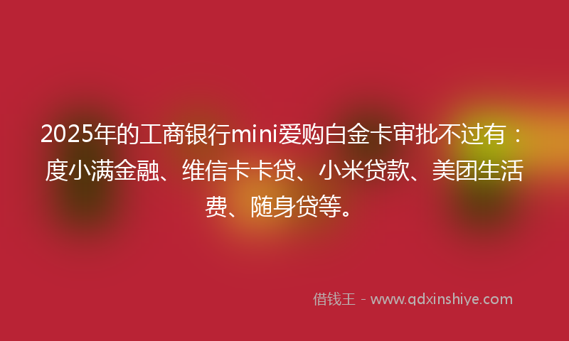 2025年的工商银行mini爱购白金卡审批不过有：度小满金融、维信卡卡贷、小米贷款、美团生活费、随身贷等。