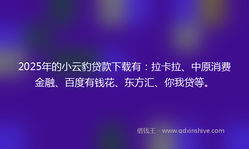 2025年的小云豹贷款下载有：拉卡拉、中原消费金融、百度有钱花、东方汇、你我贷等。