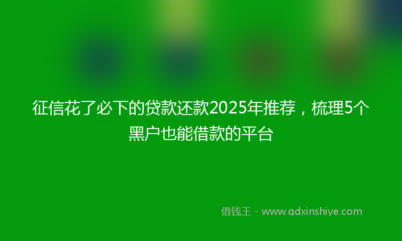 征信花了必下的贷款还款2025年推荐，梳理5个黑户也能借款的平台
