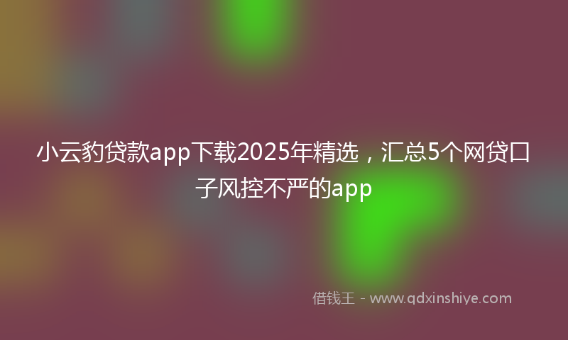 小云豹贷款app下载2025年精选，汇总5个网贷口子风控不严的app