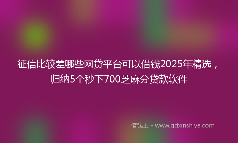 征信比较差哪些网贷平台可以借钱2025年精选，归纳5个秒下700芝麻分贷款软件