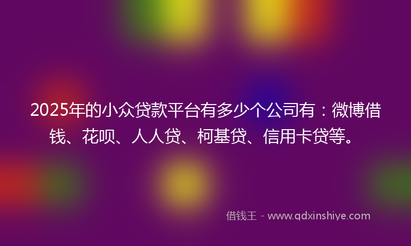 2025年的小众贷款平台有多少个公司有：微博借钱、花呗、人人贷、柯基贷、信用卡贷等。