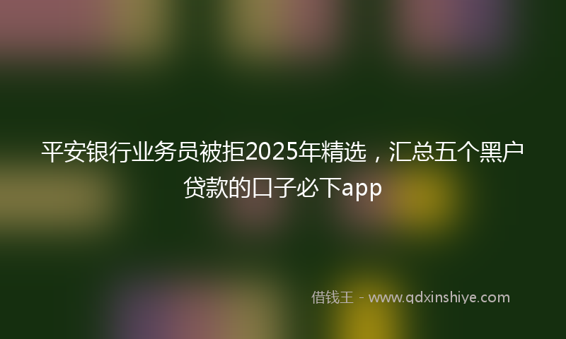 平安银行业务员被拒2025年精选，汇总五个黑户贷款的口子必下app