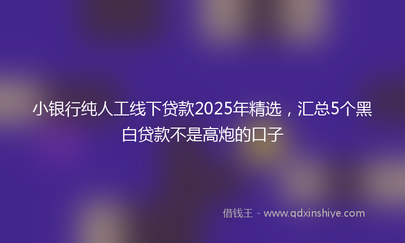 小银行纯人工线下贷款2025年精选，汇总5个黑白贷款不是高炮的口子