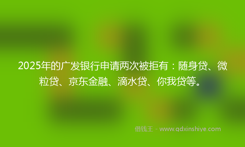 2025年的广发银行申请两次被拒有：随身贷、微粒贷、京东金融、滴水贷、你我贷等。