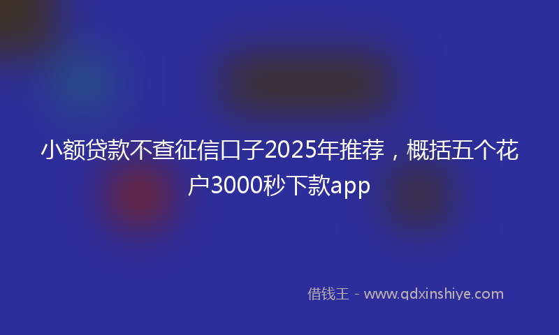 小额贷款不查征信口子2025年推荐，概括五个花户3000秒下款app
