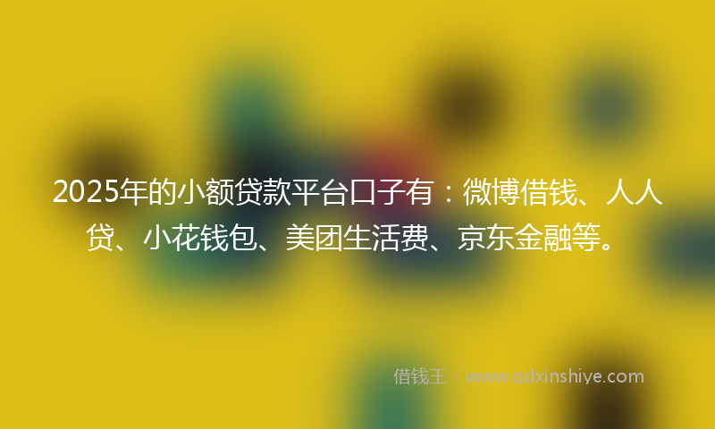 2025年的小额贷款平台口子有：微博借钱、人人贷、小花钱包、美团生活费、京东金融等。