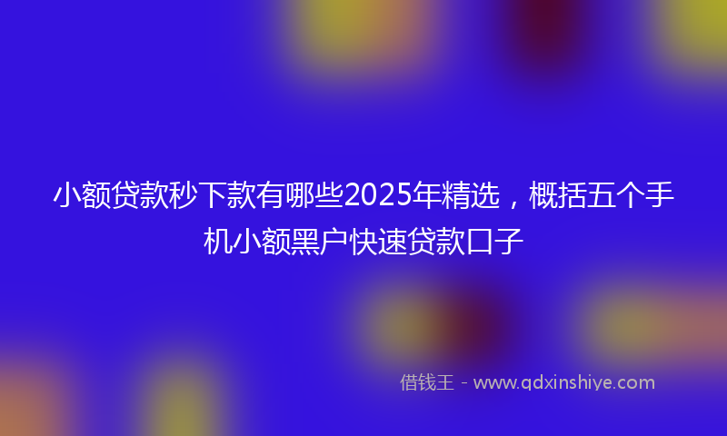 小额贷款秒下款有哪些2025年精选，概括五个手机小额黑户快速贷款口子