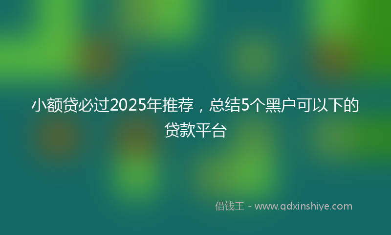 小额贷必过2025年推荐，总结5个黑户可以下的贷款平台