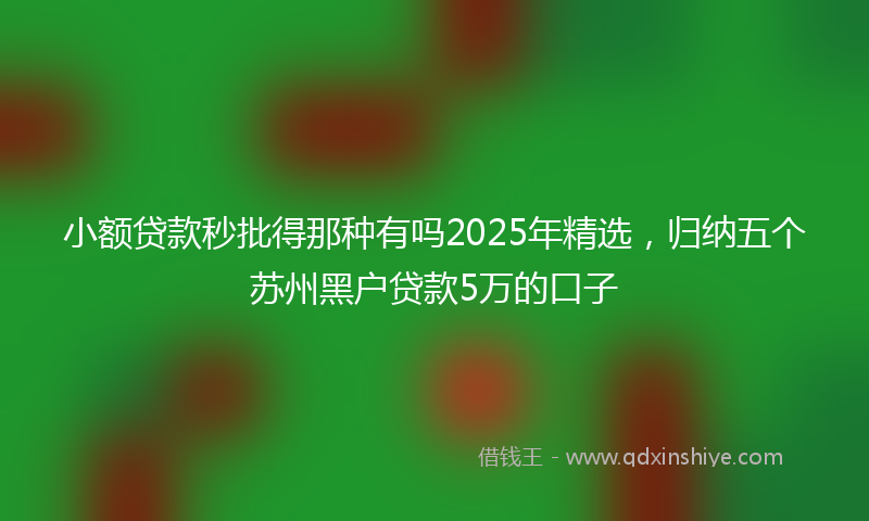 小额贷款秒批得那种有吗2025年精选，归纳五个苏州黑户贷款5万的口子