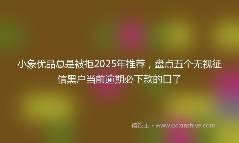 小象优品总是被拒2025年推荐，盘点五个无视征信黑户当前逾期必下款的口子
