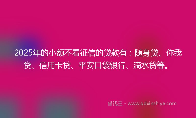 2025年的小额不看征信的贷款有：随身贷、你我贷、信用卡贷、平安口袋银行、滴水贷等。