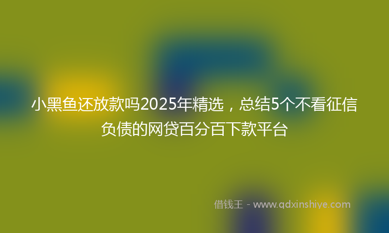 小黑鱼还放款吗2025年精选，总结5个不看征信负债的网贷百分百下款平台