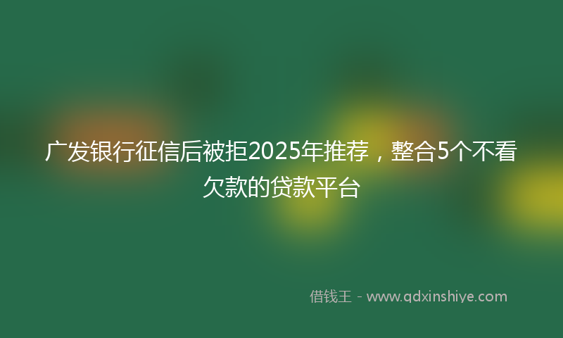广发银行征信后被拒2025年推荐，整合5个不看欠款的贷款平台
