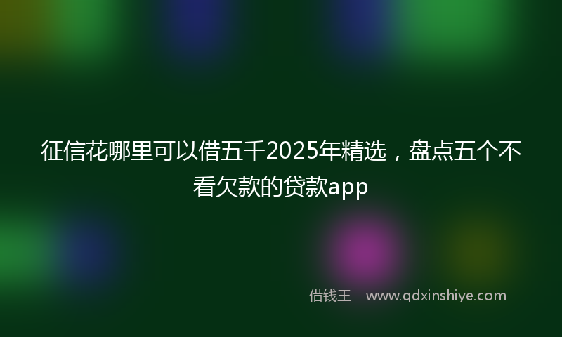 征信花哪里可以借五千2025年精选，盘点五个不看欠款的贷款app