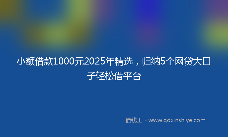 小额借款1000元2025年精选，归纳5个网贷大口子轻松借平台