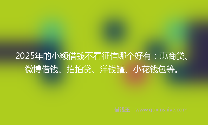 2025年的小额借钱不看征信哪个好有：惠商贷、微博借钱、拍拍贷、洋钱罐、小花钱包等。