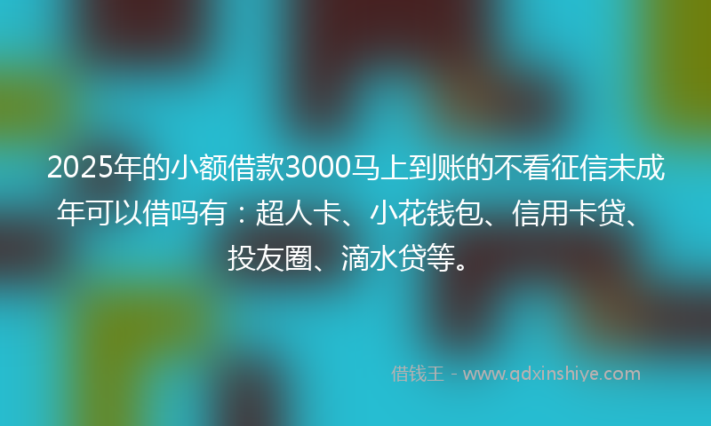 2025年的小额借款3000马上到账的不看征信未成年可以借吗有：超人卡、小花钱包、信用卡贷、投友圈、滴水贷等。