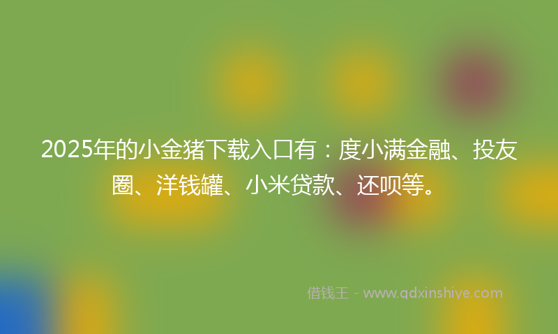 2025年的小金猪下载入口有：度小满金融、投友圈、洋钱罐、小米贷款、还呗等。