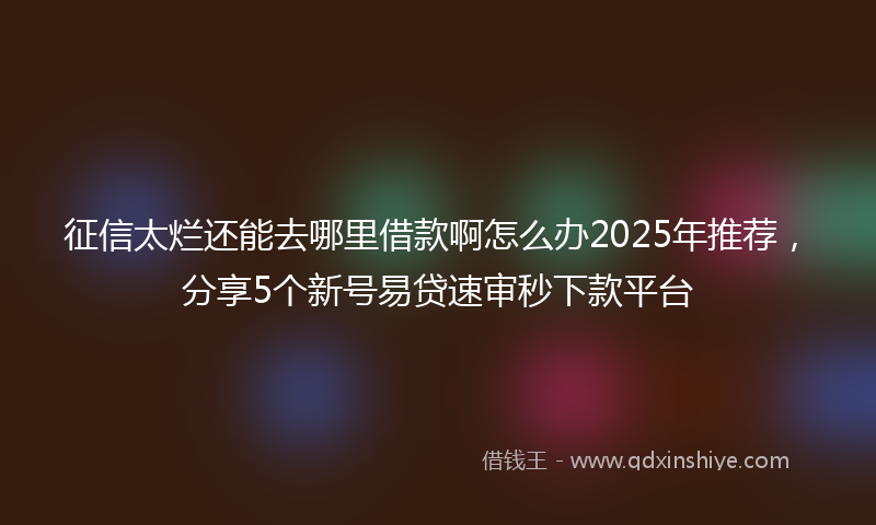 征信太烂还能去哪里借款啊怎么办2025年推荐，分享5个新号易贷速审秒下款平台