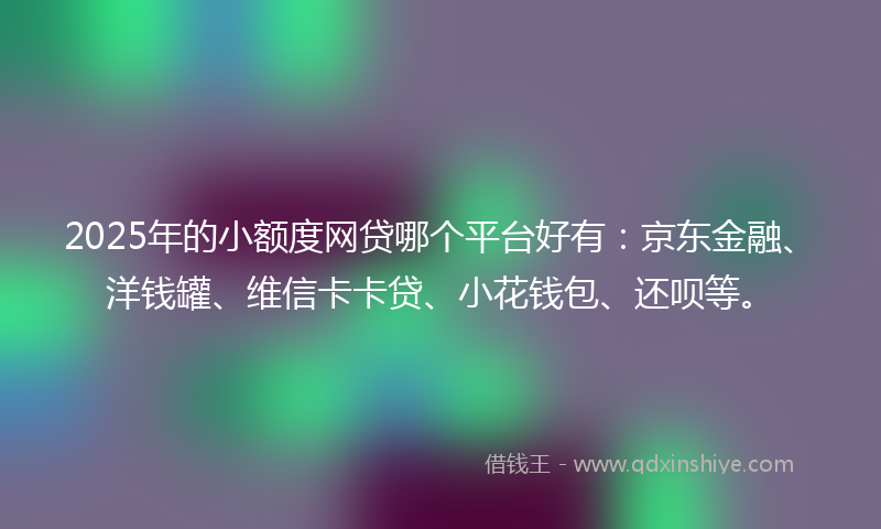 2025年的小额度网贷哪个平台好有：京东金融、洋钱罐、维信卡卡贷、小花钱包、还呗等。