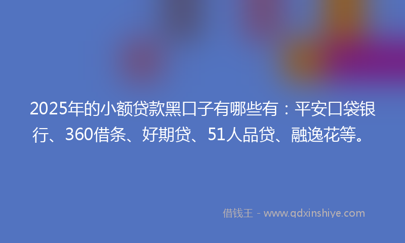2025年的小额贷款黑口子有哪些有：平安口袋银行、360借条、好期贷、51人品贷、融逸花等。