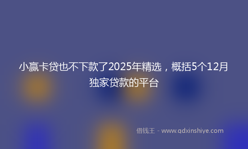 小赢卡贷也不下款了2025年精选，概括5个12月独家贷款的平台