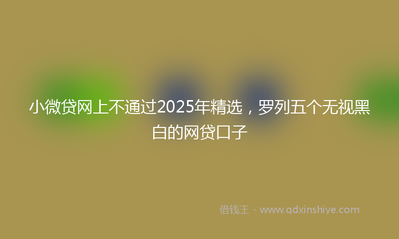 小微贷网上不通过2025年精选，罗列五个无视黑白的网贷口子