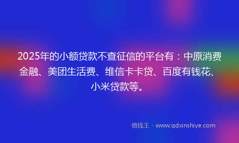 2025年的小额贷款不查征信的平台有：中原消费金融、美团生活费、维信卡卡贷、百度有钱花、小米贷款等。